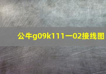 公牛g09k111一02接线图