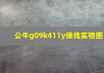 公牛g09k411y接线实物图