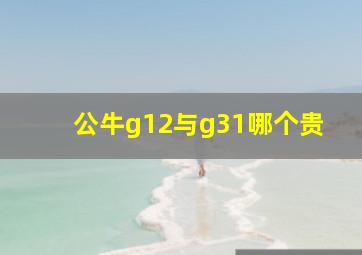 公牛g12与g31哪个贵