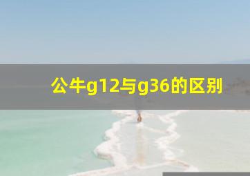 公牛g12与g36的区别