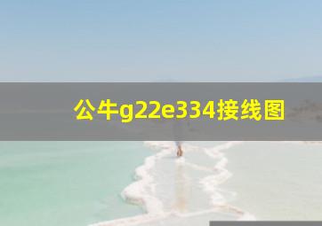 公牛g22e334接线图