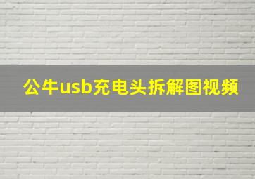 公牛usb充电头拆解图视频