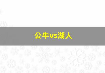 公牛vs湖人