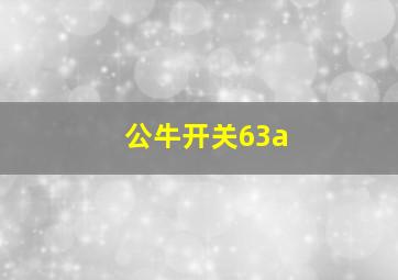 公牛开关63a