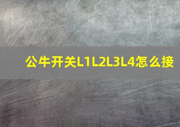 公牛开关L1L2L3L4怎么接