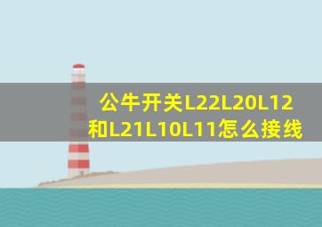 公牛开关L22L20L12和L21L10L11怎么接线