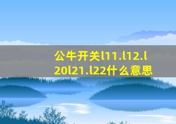 公牛开关l11.l12.l20l21.l22什么意思