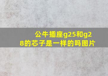 公牛插座g25和g28的芯子是一样的吗图片