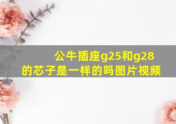 公牛插座g25和g28的芯子是一样的吗图片视频