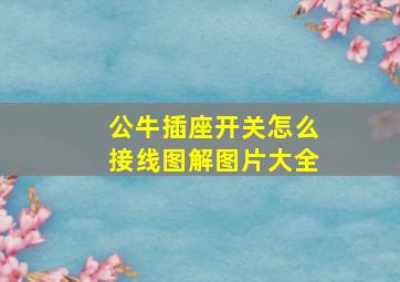 公牛插座开关怎么接线图解图片大全