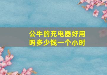 公牛的充电器好用吗多少钱一个小时