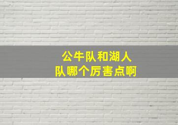 公牛队和湖人队哪个厉害点啊