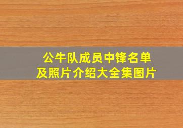 公牛队成员中锋名单及照片介绍大全集图片