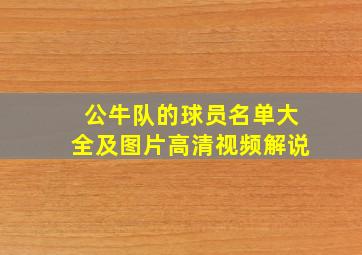 公牛队的球员名单大全及图片高清视频解说