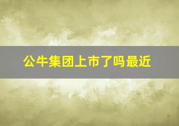 公牛集团上市了吗最近