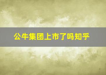 公牛集团上市了吗知乎