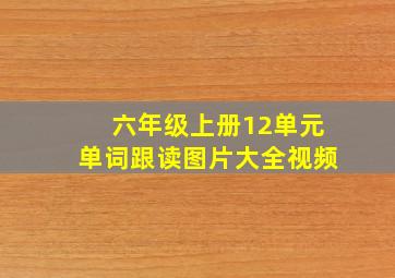 六年级上册12单元单词跟读图片大全视频