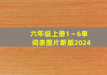 六年级上册1～6单词表图片新版2024