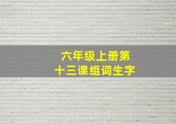 六年级上册第十三课组词生字