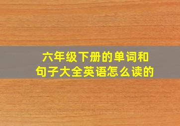 六年级下册的单词和句子大全英语怎么读的