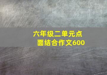 六年级二单元点面结合作文600