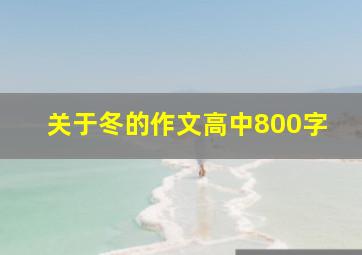 关于冬的作文高中800字