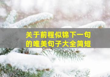 关于前程似锦下一句的唯美句子大全简短