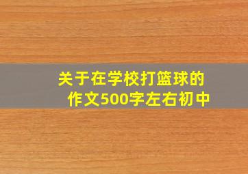 关于在学校打篮球的作文500字左右初中