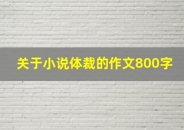 关于小说体裁的作文800字