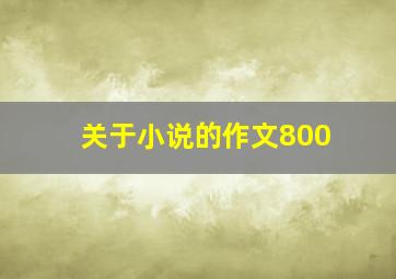 关于小说的作文800