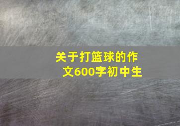 关于打篮球的作文600字初中生