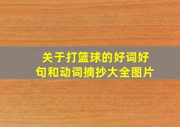 关于打篮球的好词好句和动词摘抄大全图片