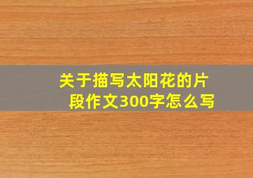 关于描写太阳花的片段作文300字怎么写