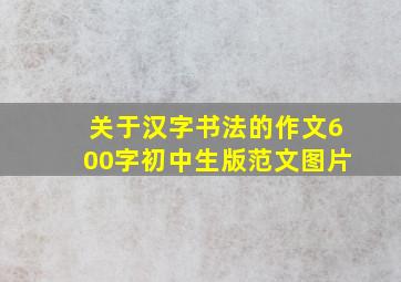 关于汉字书法的作文600字初中生版范文图片