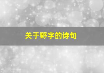 关于野字的诗句