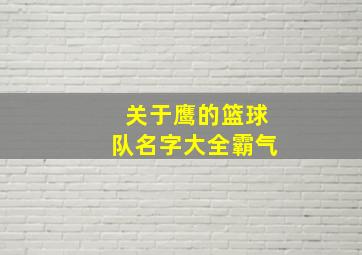 关于鹰的篮球队名字大全霸气