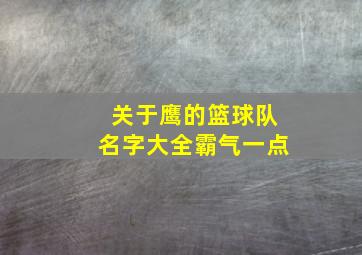 关于鹰的篮球队名字大全霸气一点