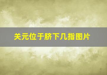 关元位于脐下几指图片