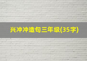 兴冲冲造句三年级(35字)