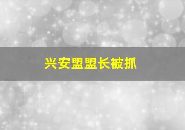 兴安盟盟长被抓