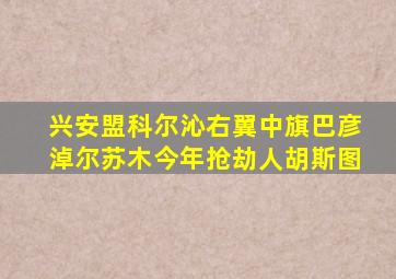 兴安盟科尔沁右翼中旗巴彦淖尔苏木今年抢劫人胡斯图