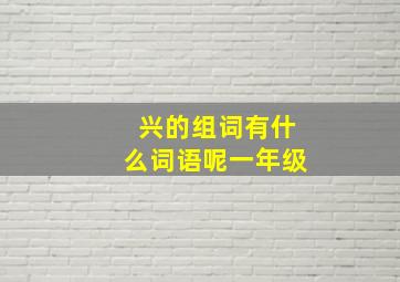 兴的组词有什么词语呢一年级