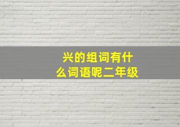 兴的组词有什么词语呢二年级