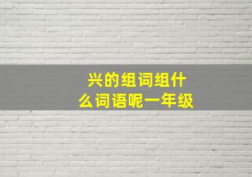 兴的组词组什么词语呢一年级