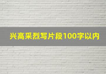 兴高采烈写片段100字以内