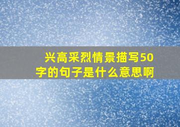 兴高采烈情景描写50字的句子是什么意思啊