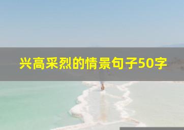 兴高采烈的情景句子50字