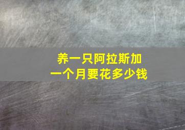 养一只阿拉斯加一个月要花多少钱