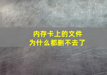 内存卡上的文件为什么都删不去了