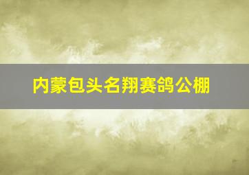 内蒙包头名翔赛鸽公棚